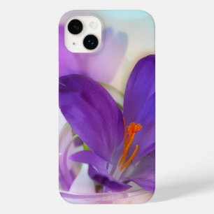 Coque Pour iPhone 14 Plus Photo d'un joli Crocus de printemps violet