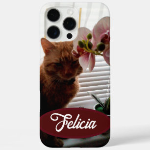 Coques iPhone 16 Pro Max Photo et nom du chat de gingembre, personnalisable