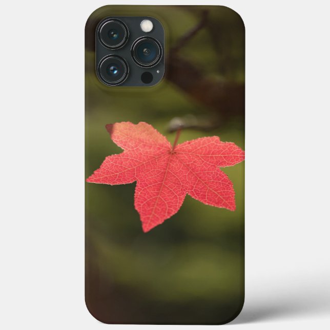 Coques Case-Mate iPhone Photo Maple Leaf Nature (Verso)