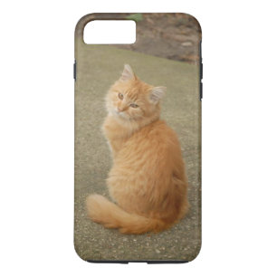 Case-Mate iPhone Case Photo Orange Kitten