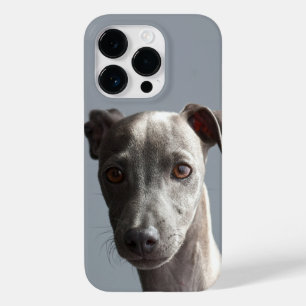 Coque Pour iPhone 14 Pro Photo personnalisée pour chien de compagnie