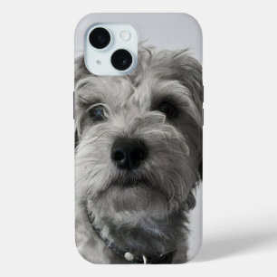 Coque Pour iPhone 15 Photo Schnauzer Portrait de chiot