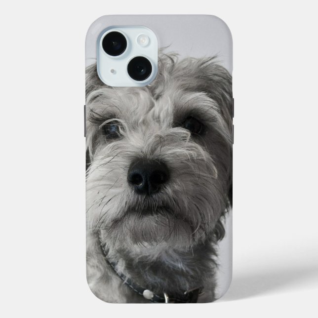 Coques Case-Mate iPhone Photo Schnauzer Portrait de chiot (Verso)