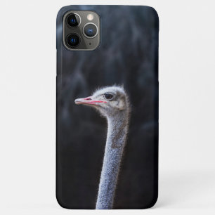 Case-Mate iPhone Case Photographie d'autruche