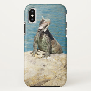Coque Case-Mate Pour iPhone Photographie de la faune tropicale Iguana à St. Th