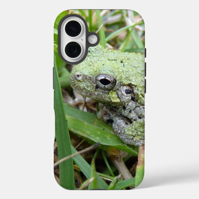Coques Case-Mate iPhone Photographie de la nature de la grenouille arboric (Verso)