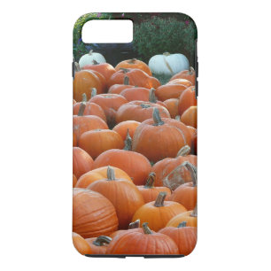Coque Case-Mate Pour iPhone Photographie de récolte d'automne des citrouilles 