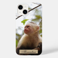 Photographie de singe capucin à visage blanc