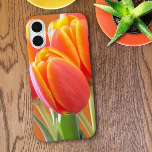 Coques iPhone 16 Plus Photographie de tulipes orange à bordure jaune vib