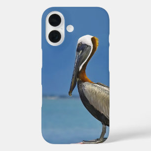 Coque Pour iPhone 16 Photographie d'observation d'oiseaux de Pélican
