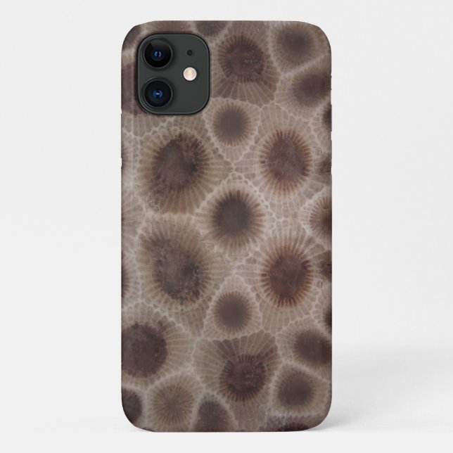 Coques Case-Mate iPhone Pierre de Petoskey (Dos)