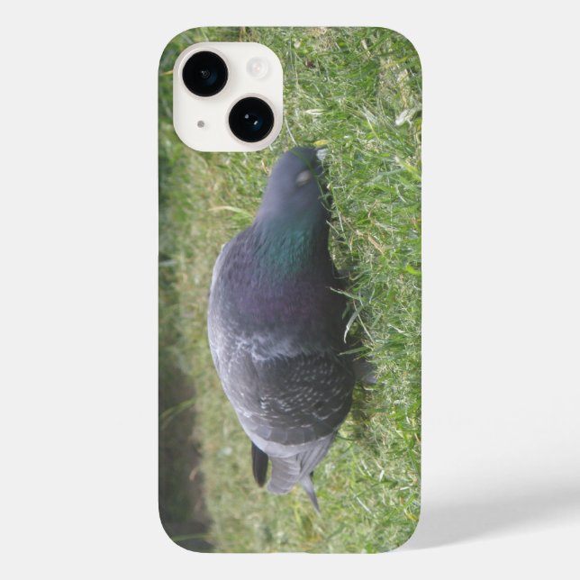 Coques Case-Mate iPhone Pigeon dormant (Verso)