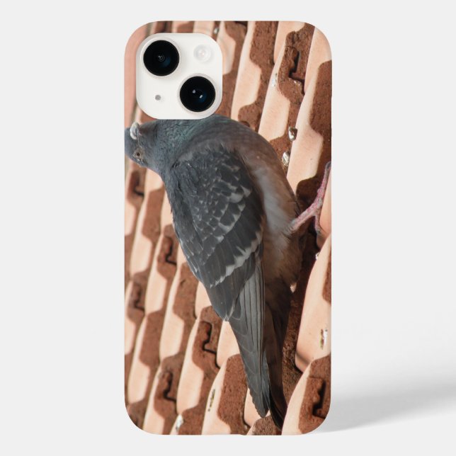 Coques Case-Mate iPhone Pigeon sur le toit (Verso)