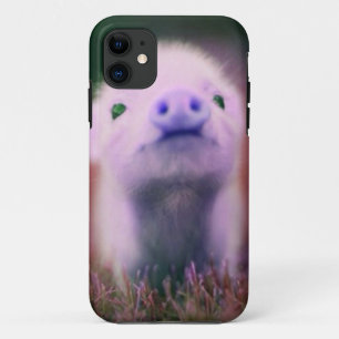 Case-Mate iPhone Case Pigsy pourpre
