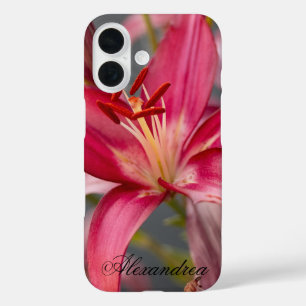 Coque Pour iPhone 16 Pink Asiatic Lily - Élégante Photographie Fleur