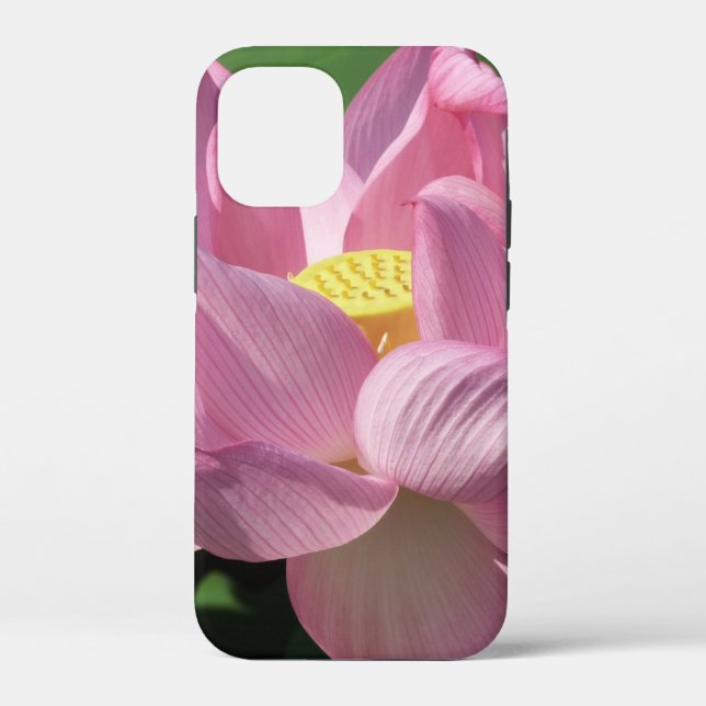 Coques Case-Mate iPhone Pink Lotus Flower IV (Verso)
