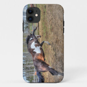 Etui iPhone Case-Mate Pinto Stallion équine photo d'action