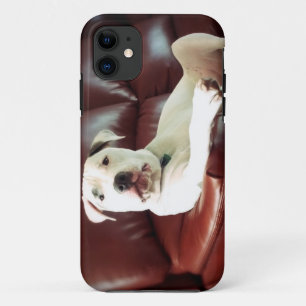 Case-Mate iPhone Case pitbull blanc drôle sur le canapé