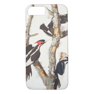 Coque Case-Mate Pour iPhone pivert Ivoire-affiché, 1829, ()
