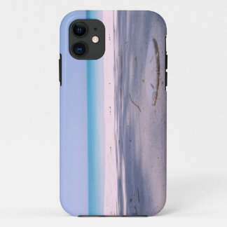 Coque iPhone 11 Plage du dollar de sable