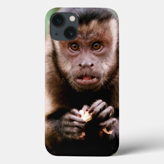 Coques Case-Mate iPhone Plan rapproché d'un singe noir-couvert de capucin (Verso)