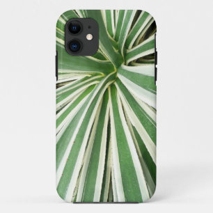 Coque Case-Mate Pour iPhone Plante Agave Vert et blanc rayé