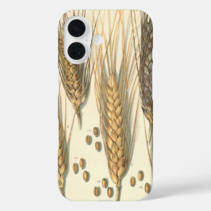 Coques iPhone 16 Plante de blé résistant à la sécheresse, Agricultu