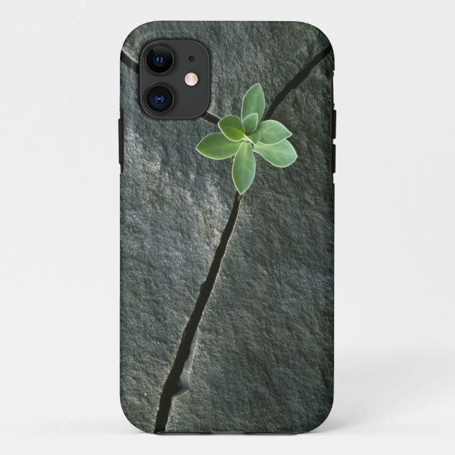 Coques Case-Mate iPhone Plante s'élevant à Boulder criqué (Dos)