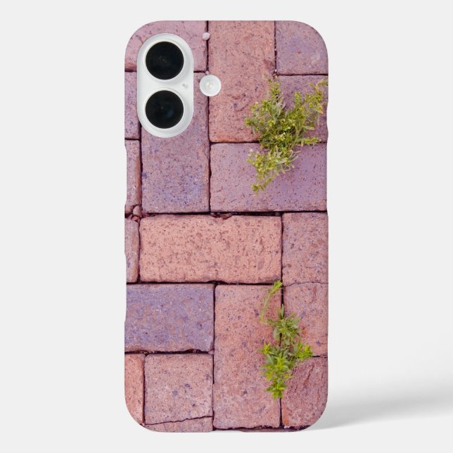 Coques Case-Mate iPhone Plaques de pavage et mauvaises herbes sur la chaus (Verso)