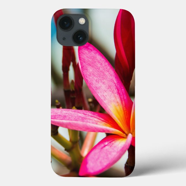 Coques Case-Mate iPhone Plumeria arrière - plan de fleurs exotiques (Verso)