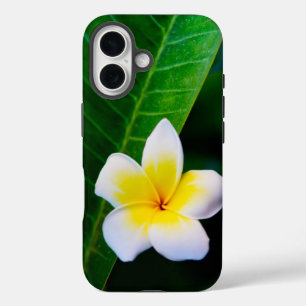 Coque Pour iPhone 16 plumérie