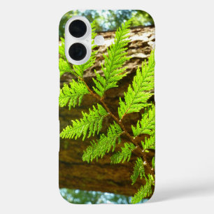 Coque Pour iPhone 16 Points forts d'un arbre botanique de séquoia