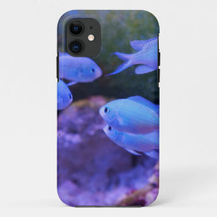 Case-Mate iPhone Case Poisson bleu tropical