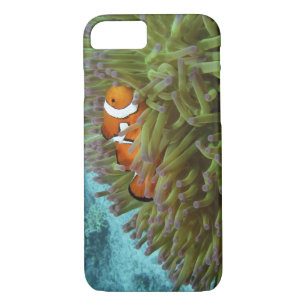 Coques Pour iPhone Poisson clown ( Amphiprion ocellaris )
