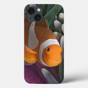 Case-Mate iPhone Case Poisson clown occidental