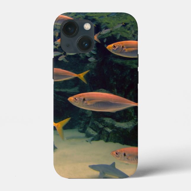 Coques Case-Mate iPhone Poisson rose  (Verso)