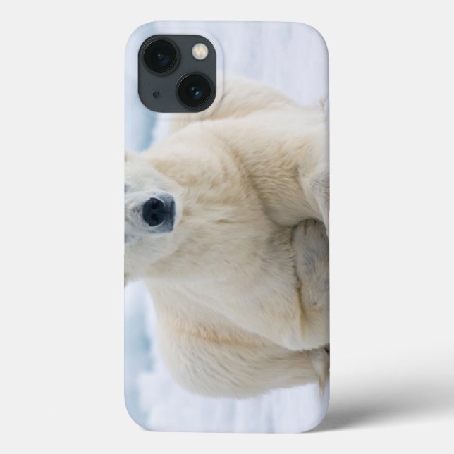 Coques Case-Mate iPhone Polaires adultes concernent la banquise d'été (Verso)