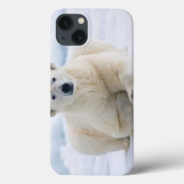 Coques Case-Mate iPhone Polaires adultes concernent la banquise d'été (Verso)