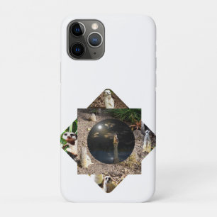 Case-Mate iPhone Case Polyscope de Meerkat,