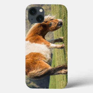 Coques Pour iPhone Poney Shetland dans un pâturage près de hautes fal