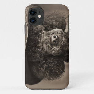 Case-Mate iPhone Case Poodle noir habillé en costume d'Halloween Cowboy