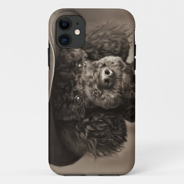 Coques Case-Mate iPhone Poodle noir habillé en costume d'Halloween Cowboy (Dos)