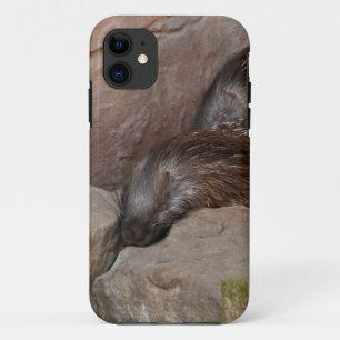 Case-Mate iPhone Case Porcs-épics à crête indienne