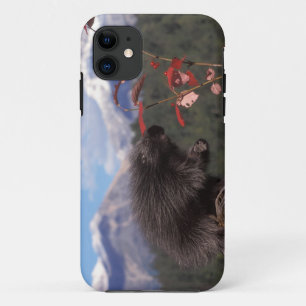 Etui iPhone Case-Mate Porcupine commun qui se nourrit de la canneberge à