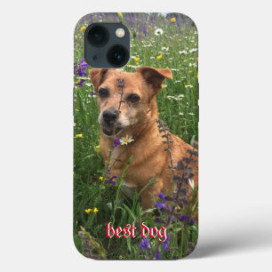 Case-Mate iPhone Case Porte-téléphone pour photographe