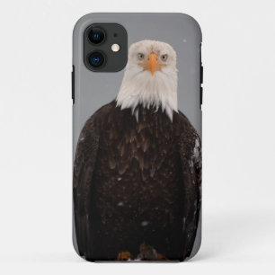 Case-Mate iPhone Case Portrait d'aigle royal dans la neige, Haliaeetus