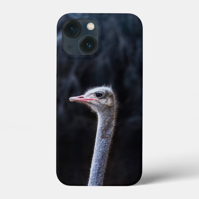 Coques Case-Mate iPhone portrait d'autruche (Verso)