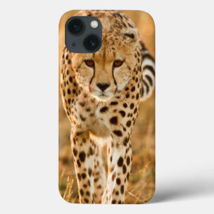 iPhone 13 Coque Portrait de Cheetah