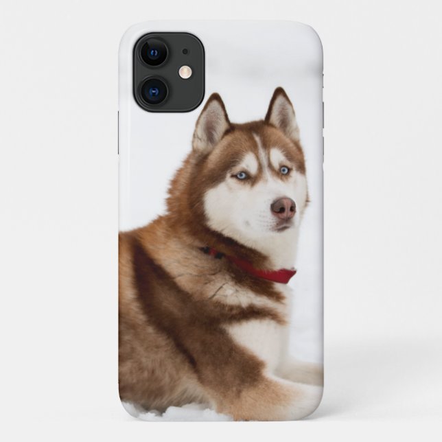 Coques Case-Mate iPhone Portrait de Cute Sibérien Husky (Dos)