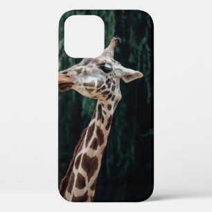 Case-Mate iPhone CASE PORTRAIT DE GIRAFFE CUIT